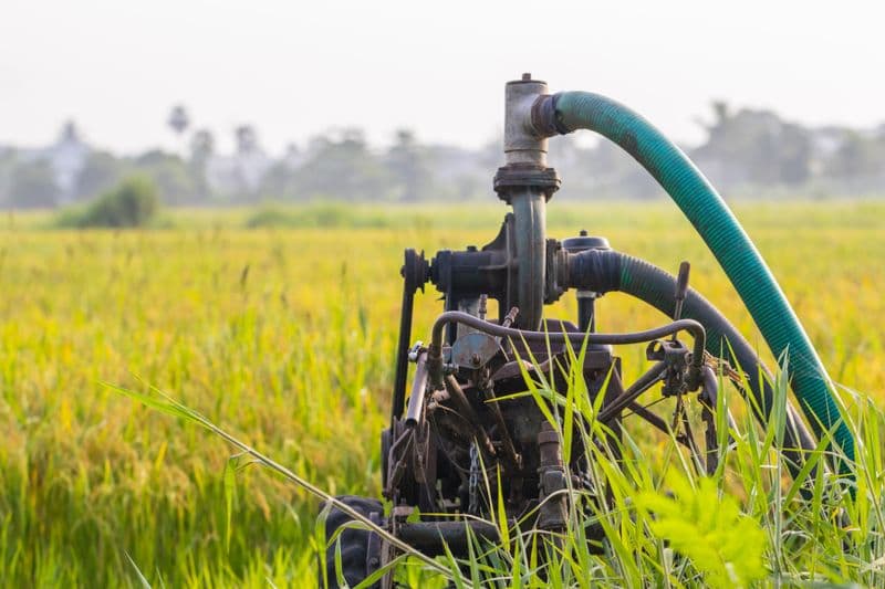 Dewatering Pump